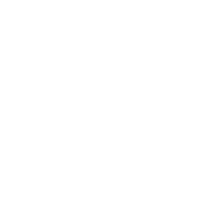 Bourbon icon