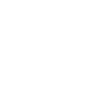 Cocktails (Alcohol) icon